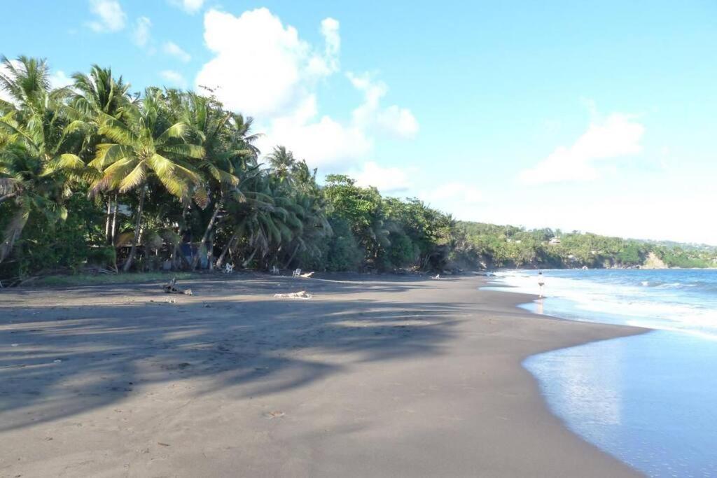 Appartement Manganao Beach Saint-Francois  Zewnętrze zdjęcie
